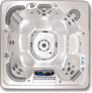 Hot Tub Artesian Spas Captiva